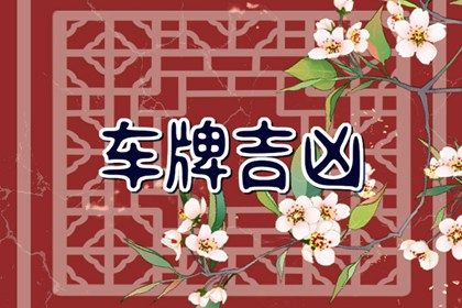 81 数理简介